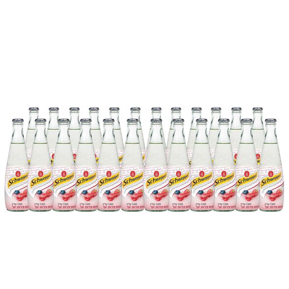 סודה שוופס בטעמים בקבוק זכוכית-24 יח'