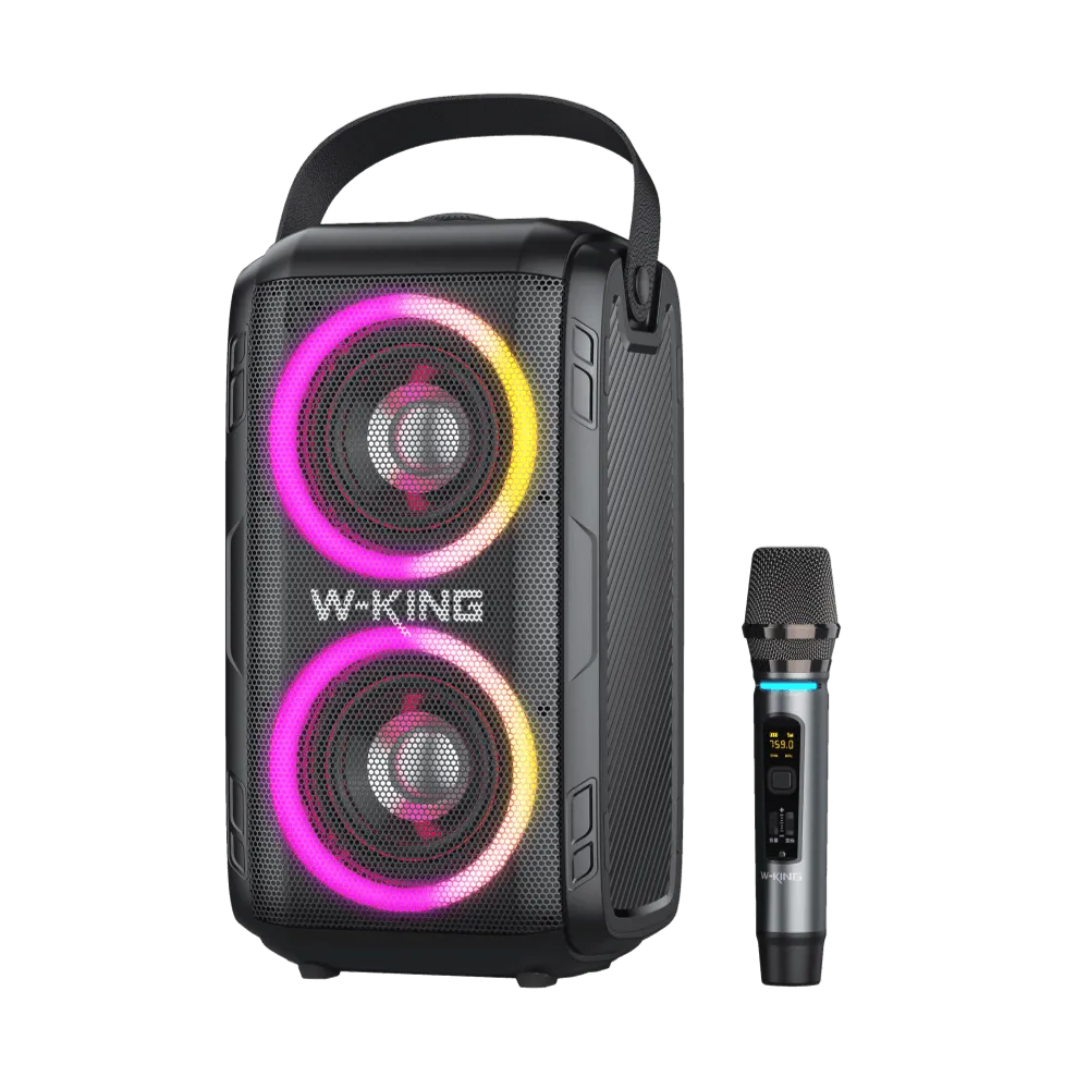 בידורית עוצמתית W-KING T9 80W