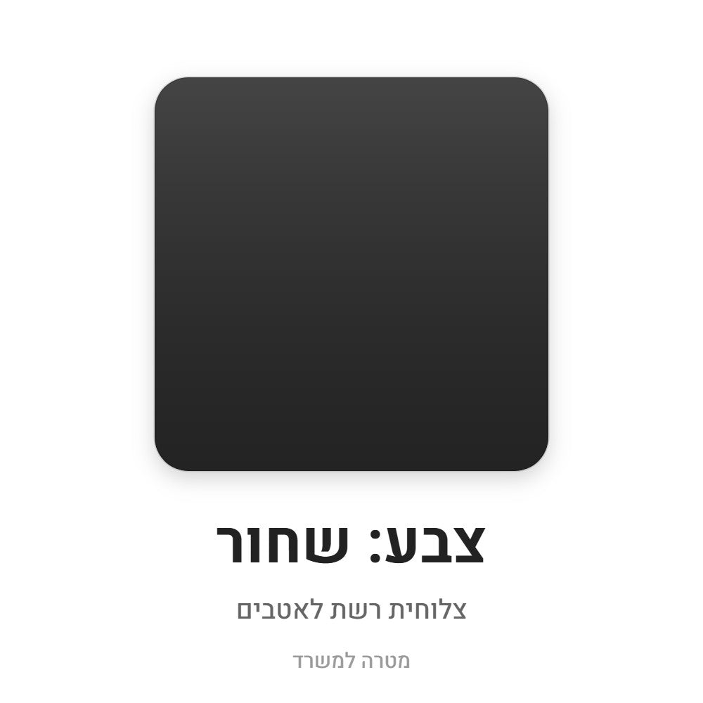צלוחית רשת לאטבים – שחור